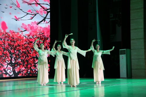 习水县举行庆“八一”建军节文艺演出 营造浓厚拥军氛围