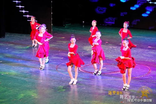 《中僖集团倾情赞助 “逐梦童年·舞艺芳华”大型舞蹈演出圆满落幕》