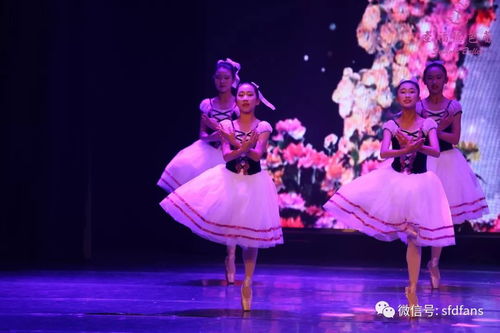 圣福德专场演出唯美落幕，百余张照片自选开启